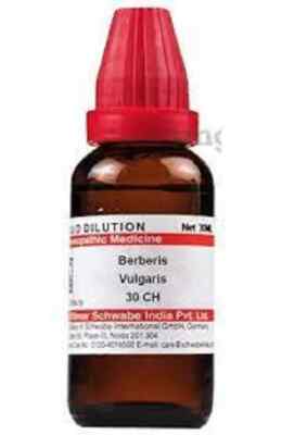 Dr. Willmar Schwabe Berberis Vulgaris Dilution 30ml Choose Potency Free Ship