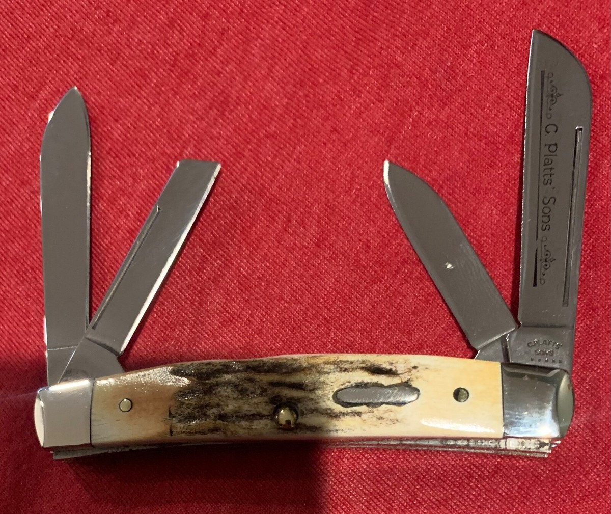 CASE PLATT'S STAG MEDIUM CONGRESS KNIFE NEVER USED #54052 SS | eBay