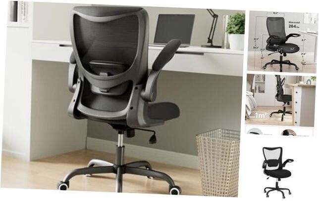 Office Chair, Ergonomic Desk Chair with Adjustable Lumbar Support and Black