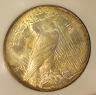 1923 Peace Silver Dollar - UNC, Great luster, Frosty, toning both sides 5313