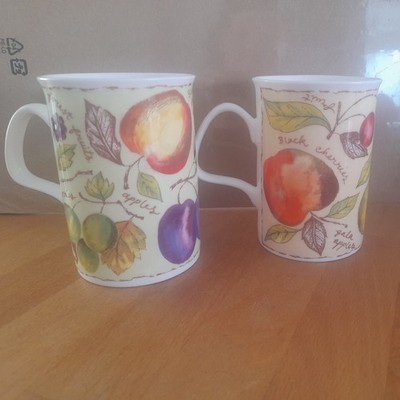 ROY KIRKHAM Becher Bone China, Beerenobstmuster x 2 verschiedene Designs. Preloved.