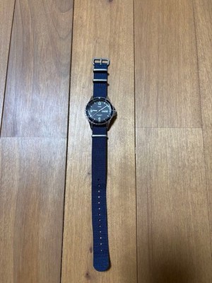 J.Crew x TIMEX Diver Watch Andros Watch Collaboration Vintage | eBay