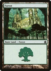 Forest (318/318) Commander 2011 - Magic the Gathering Basic Land