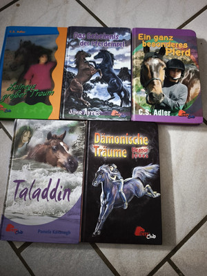 Bücherpaket 4 Kinder- & Jugendromane Pferde   Kalaugh/Jones/Acres/Adler, DE