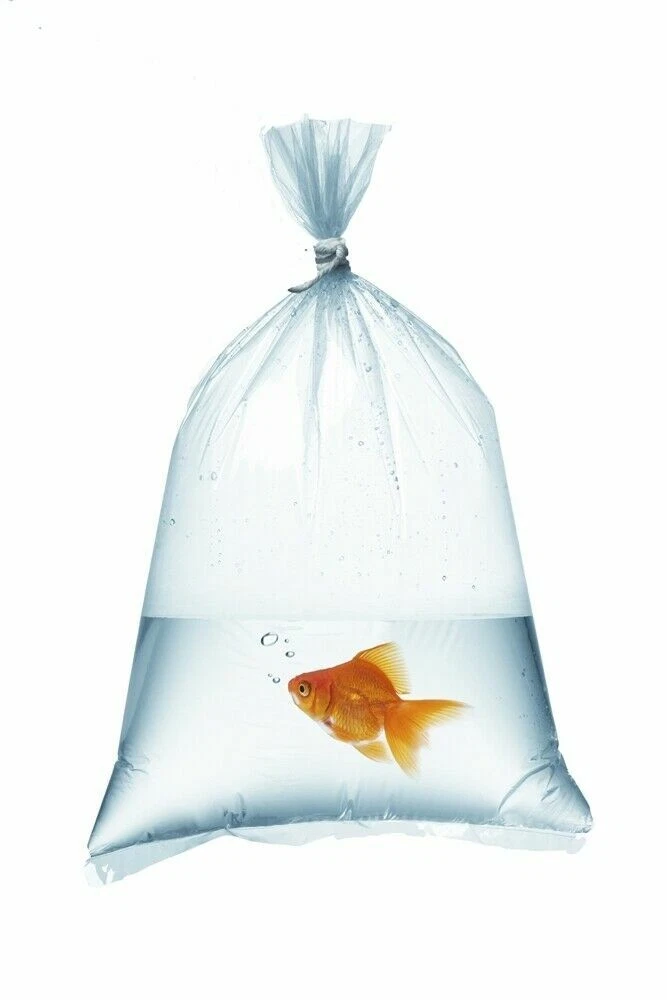 Transparent Aquarium Transport Shipping Fish Shrimp Breathing Plastic Bag