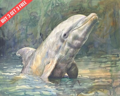 Amazon River Dolphin in River Watercolor 8x10 Print