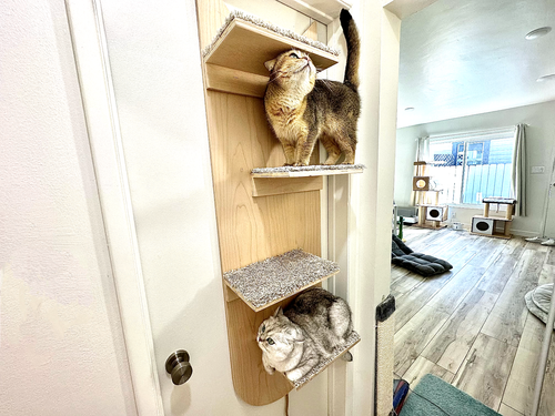 Cat Hammock Diy Cat Door For Interior Door Cat Climbing Frame Diy