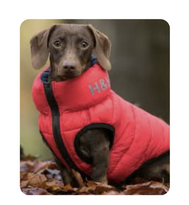 Luxury Hugo & Hudson Reversible Dog Puffer Jacket- Red