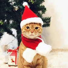 Cat Santa Hat with Scarf – Christmas Costume for Cats, Small Dogs, Rabbit, Red