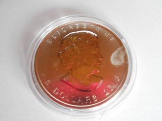 5 Dollars Kanada Maple Leaf 2013 999er Silber 1 Feinunze