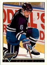 1993-94 Topps Premier Gold #312 Sean Hill - HKY