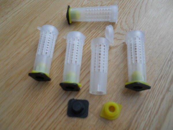 Pack de 5 rodillos/rulos para cria de reina
