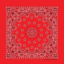 Red Paisley 22x22 Bandanna