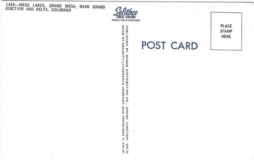 Vintage Colorado Chrome Postcard Mesa Lakes Grand Mesa near Grand Junction - Picture 2 of 2