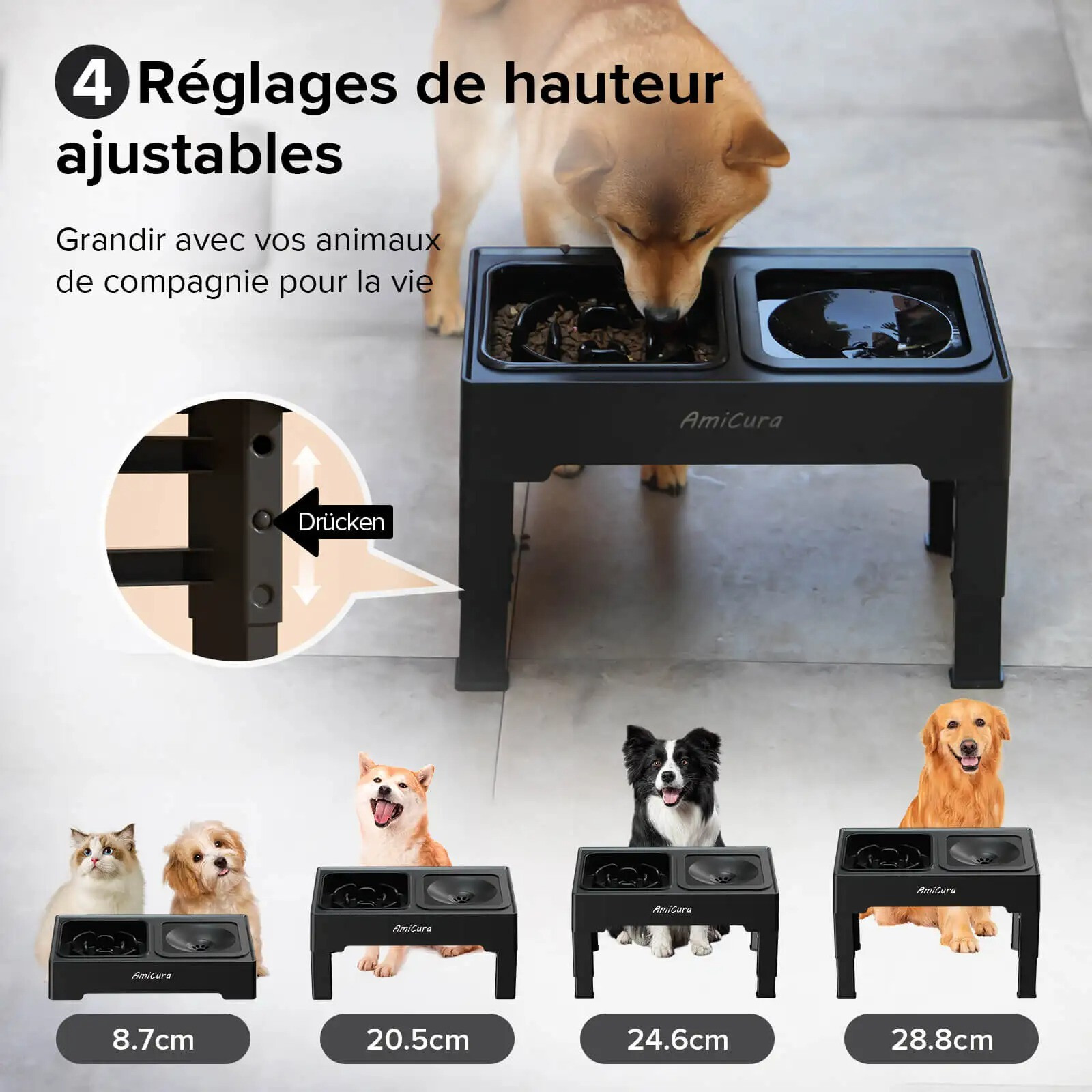 Gamelle surélevée chien réglable anti-fuite pour préserver les cervicales