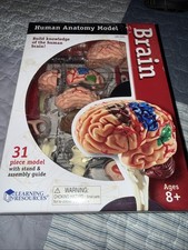 Learning Resources Anatomy Models Bundle Set ...