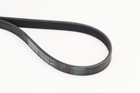 NEU - Continental Ctam 6PK1173 Keilrippenriemen FüR Audi BMW CitroËN Dacia