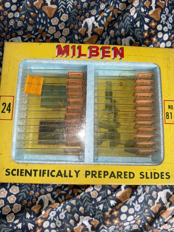 24 Milben  Scientifically Prepared Slides # 814, Plant Tissues/Aquatic Life