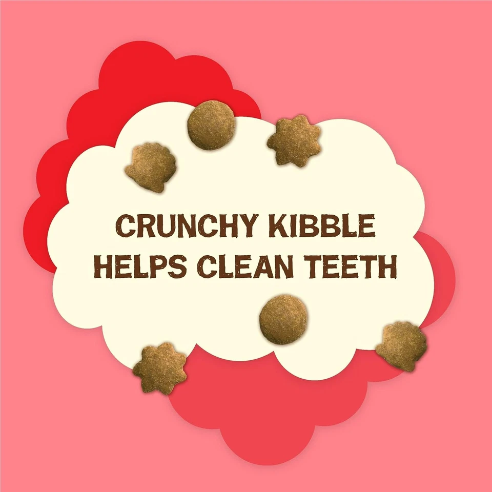 Purina Friskies Natural Cat Treats Party Mix Natural Yums With Real Salmon,20 Oz - Image 2 of 4