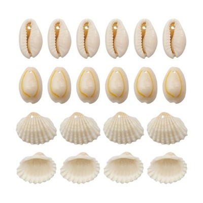 1 Set Cauri Shell Beads Ocean Beach Conch Shells Natural Shell Beads for Craft