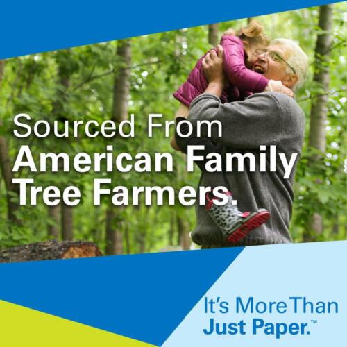 Hammermill Printer Paper, Tidal Copy Paper, 20lb, 8.5x11, 92 Bright - Picture 32 of 32
