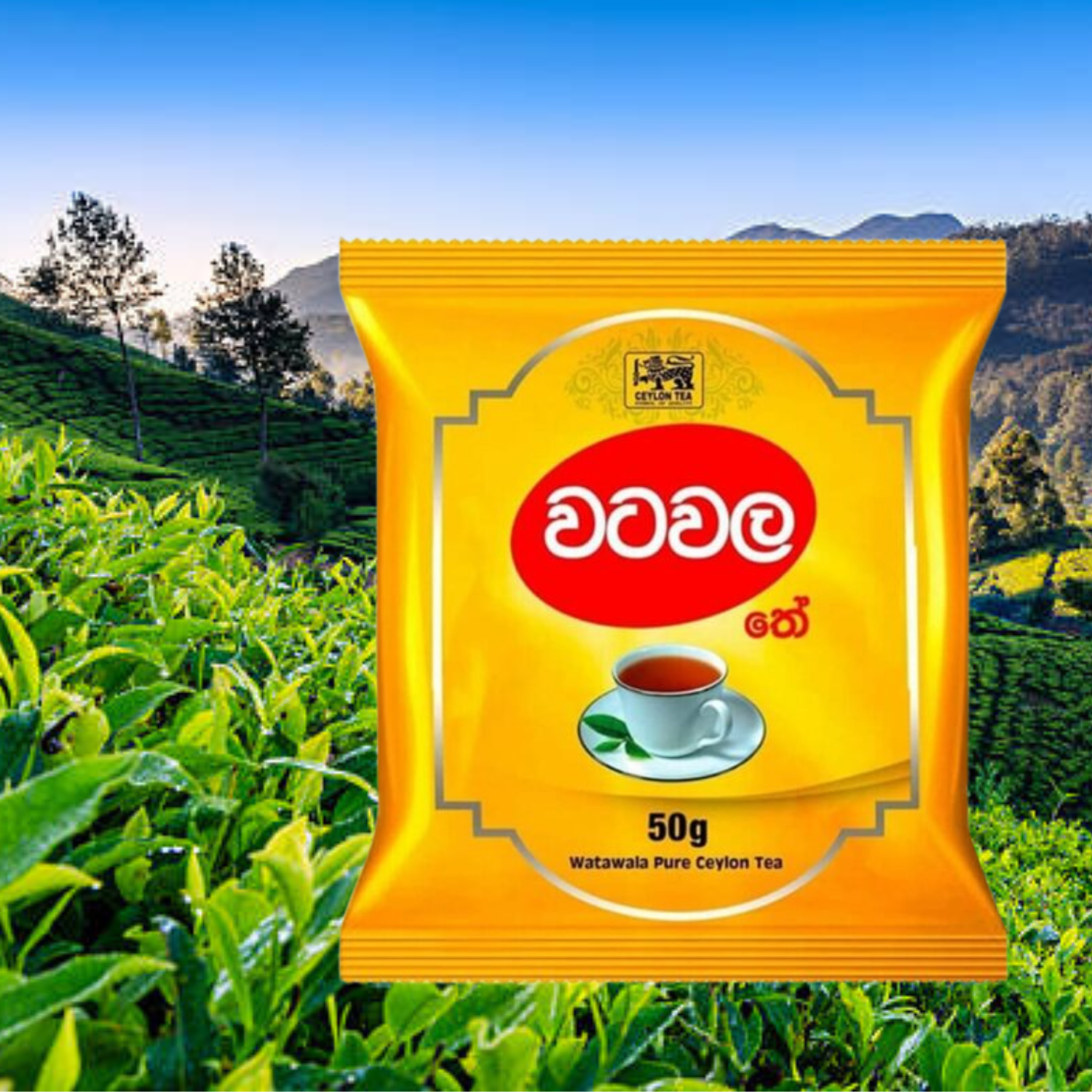 Premium Ceylon Watawala Tea Powder - Authentic Sri Lankan Black Tea