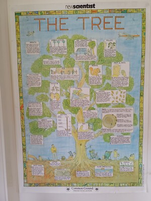 The New Scientist Tree poster by Common Ground 1989