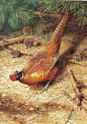 Hahnfasan 500 Teile Puzzle