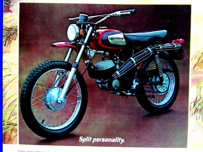 Harley-Davidson Rapido 1972年式 マニュアル 1972 Harley Davidson Rapido VTG Split Personality Original Print