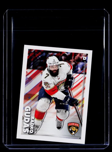 2022 Radko Gudas #218