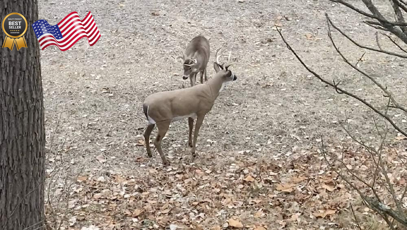 Flambeau Outdoors 5965MS Boss Buck Masters Series Deer Decoy FREE SHIPPING USA