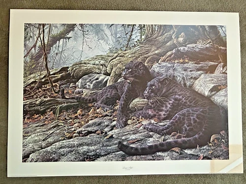 Alan M. Hunt Lithograph "Dawn Alert," Panthers Circa 1988 33.5 "x 24" 412/1211