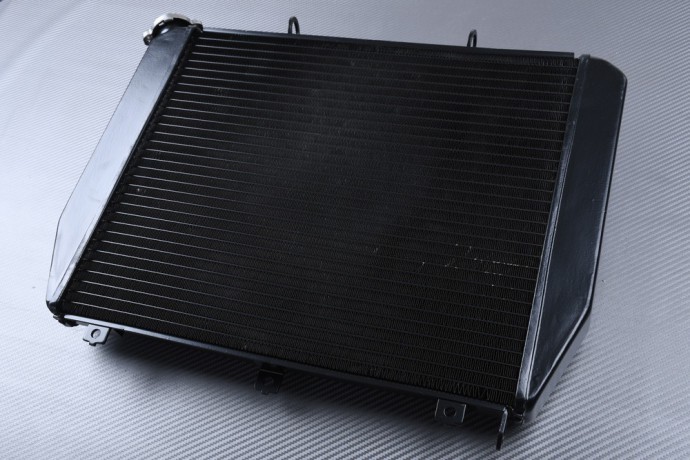 Radiateur d eau Kawasaki ZX12R ZXT20A pièce refroidissement moto 2000