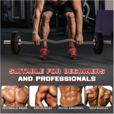 Signature Fitness 4FT Curl Bar Olympic 2" Silver – Fast Shipping – Limited Stock