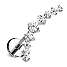 Titanium Silver Ear Climber Stud ASTM F136 Im...