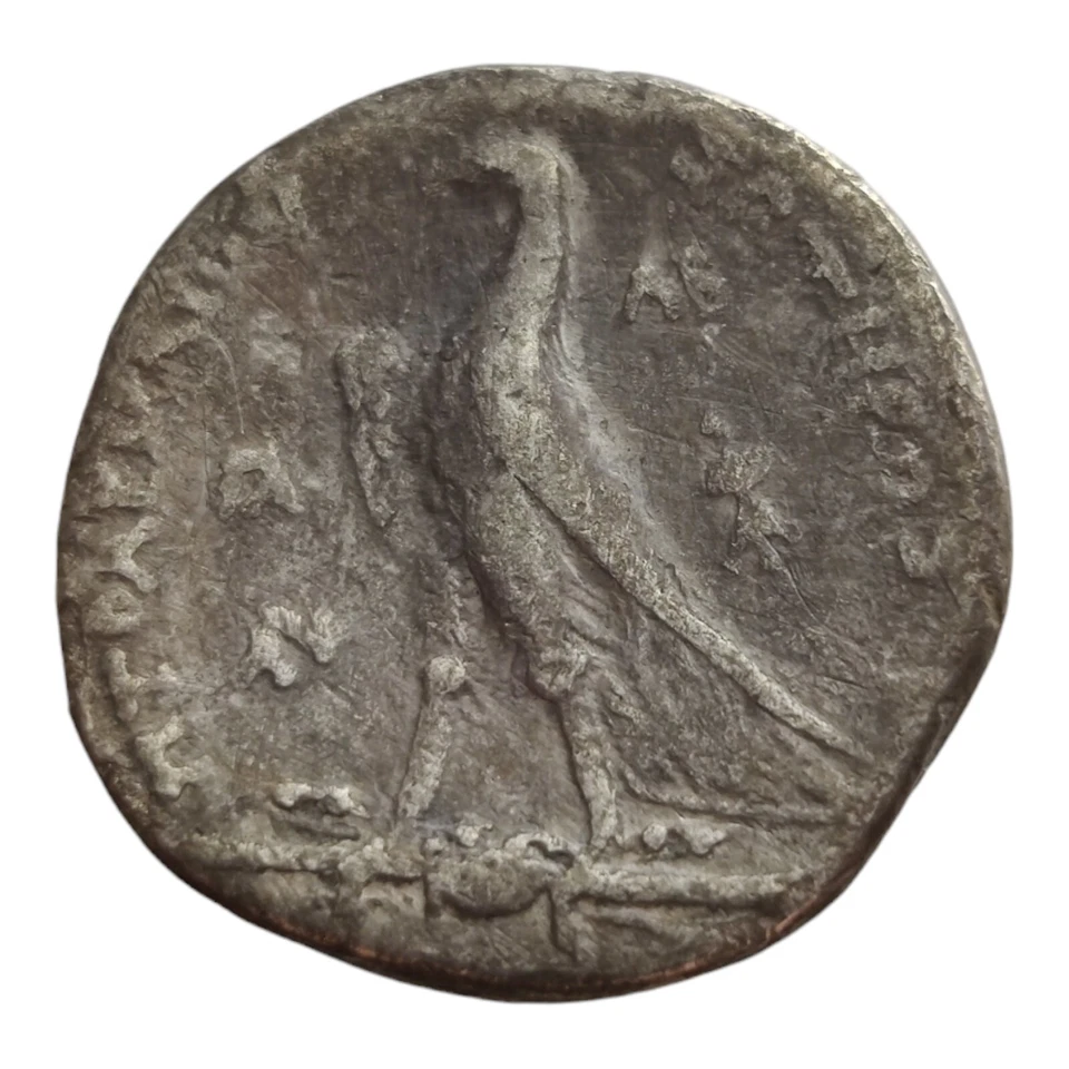 Ptolemy II 254-253 BC Silver Tetradrachm Ptolemaic Kingdom Gaza Yr32 Coin 12K - Image 2 of 2