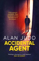 Accidental Agent | Alan Judd | Englisch | Taschenbuch | Kartoniert / Broschiert