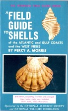 FIELD GUIDE TO SHELLS OF THE ATLANTIC (PETERSON FIELD By Percy A. Morris *Mint*