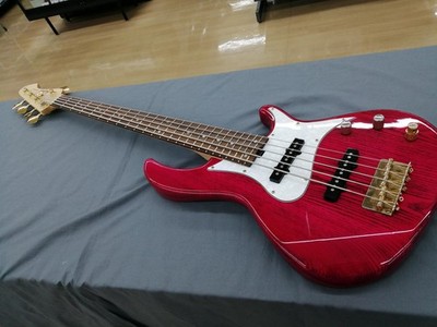 Aria Pro2 5-saitiger E-Bass RSB-42AR