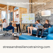 stressandresiliencetraining.com - Domain For Sale - Great for SEO