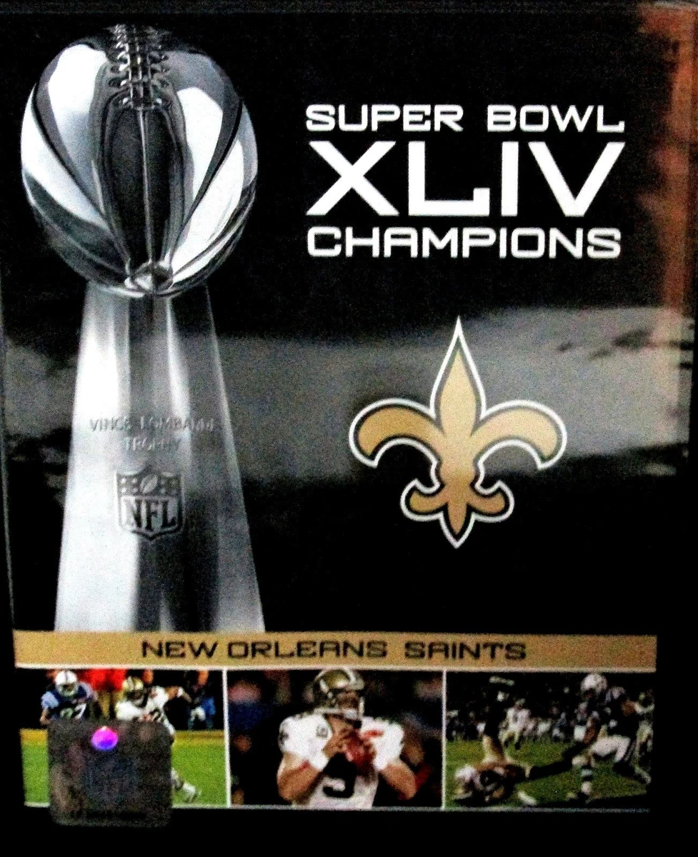 2009 cheap nfl champions