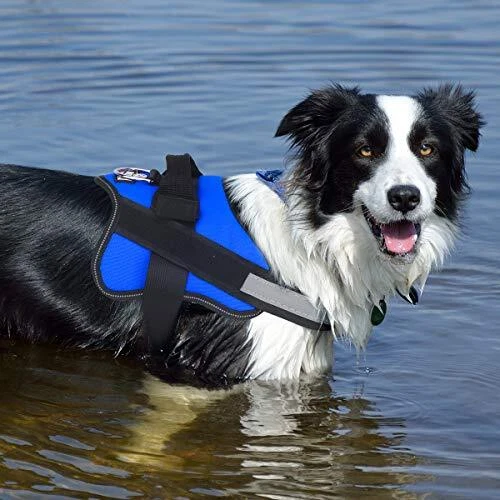 Dog Harness, No-Pull Reflective Dog Vest, Breathable Small (Pack of 1) Blue