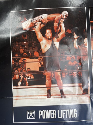 2004 WWE Summerslam Poster 38x27 Movie Size - Picture 2 of 7