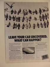 1987 Evolution Car Cover Protection Lots Of Pigeons On Electric Wires Print Ad