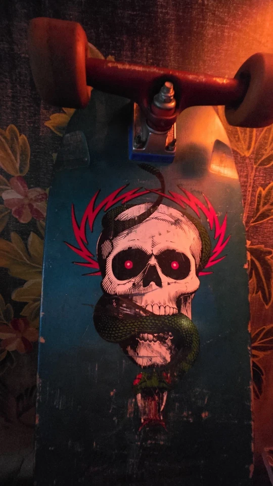 Calavera y serpiente Powell Peralta Mike Mcgill de colección finales de 1985 Foto 4 de 4