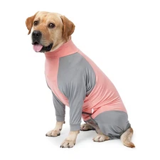 Dog Recovery Suit, Abdominal Wound After Surgery Wear, Prevent Licking Wounds...