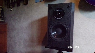 ED FRIAS UPGRADED BIC VENTURI DV62si BOOKSHELF SPEAKERS-WILL SHIP