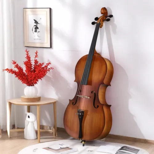 4/4 Full Size Acoustic Cello Set - Spruce Top, Antique Matter & Strings Set