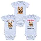 Brother is a Norwich Terrier Funny Dog Breed Baby Bodysuit Bundle (3 Piece Set)
