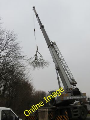 Photo 12x8 Urban  Tree  Felling  (2) Beverley Large branch cut and swung c c2013